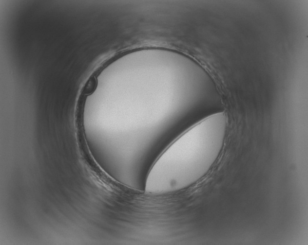 X0000073950104200608210953