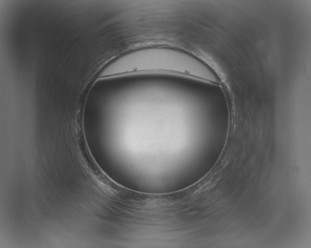 X0000073950105200608210953