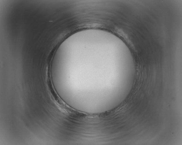 X0000073950110200608210952