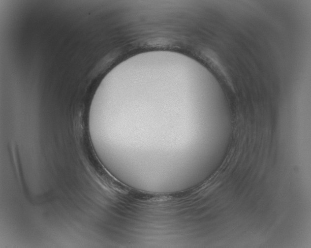 X0000073950116200608210952