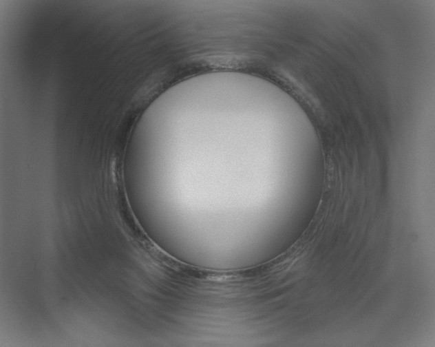 X0000073950117200608210952