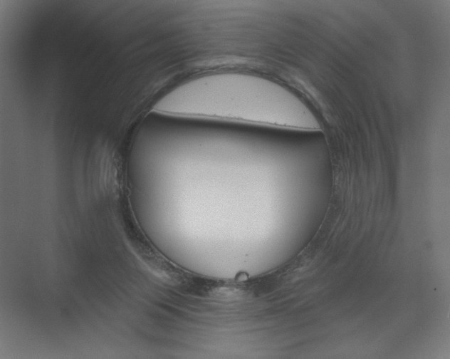 X0000073950119200608210952