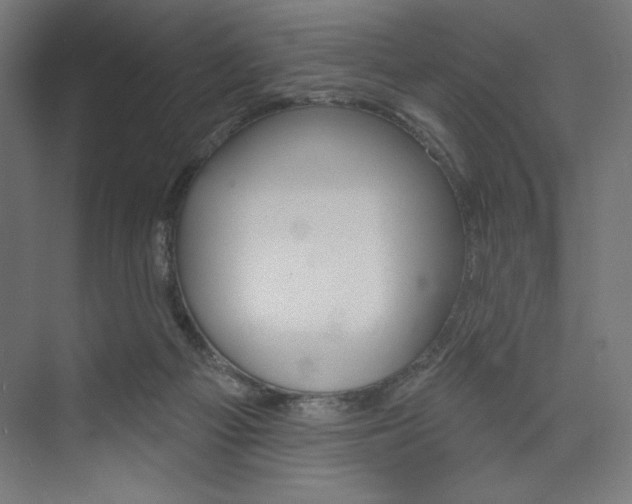 X0000073950121200608210952