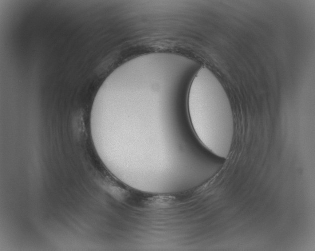 X0000073950128200608210952