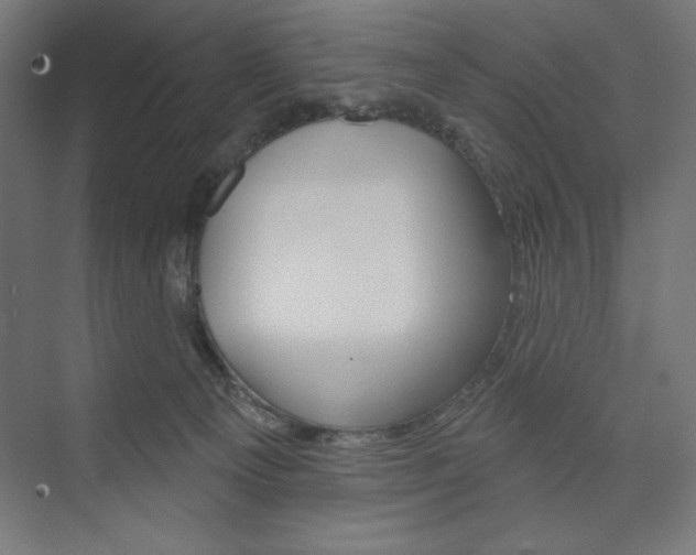 X0000073950129200608210952