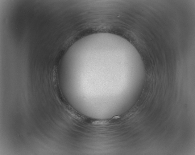 X0000073950133200608210952