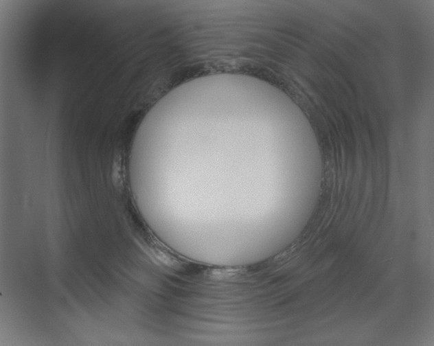 X0000073950134200608210952