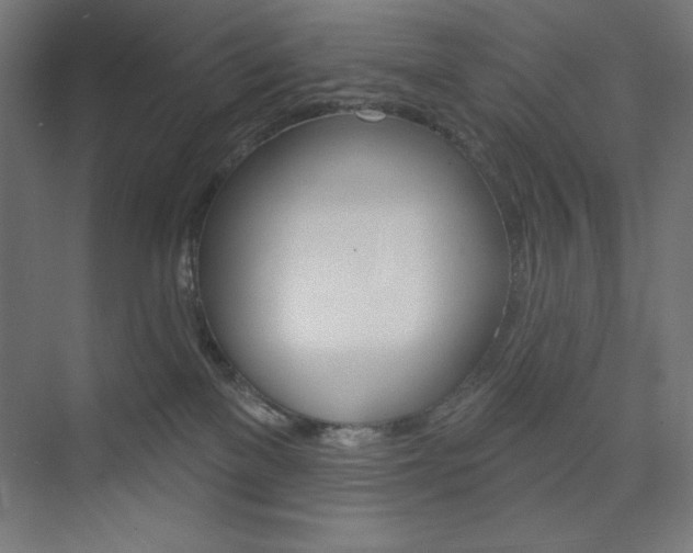 X0000073950137200608210952