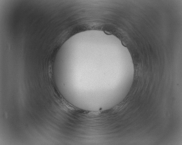 X0000073950138200608210952