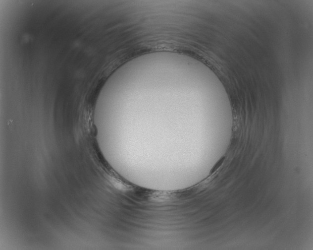 X0000073950142200608210952