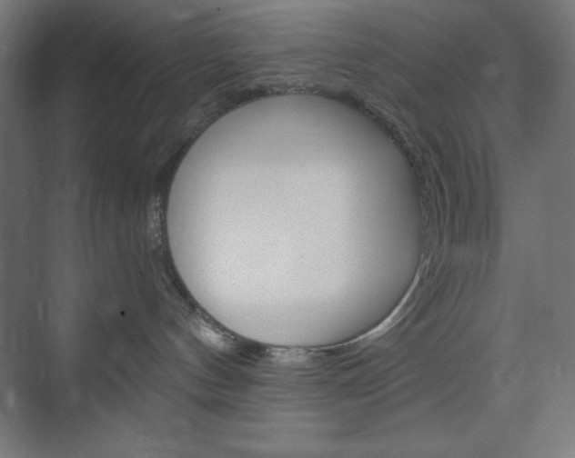 X0000073950144200608210952