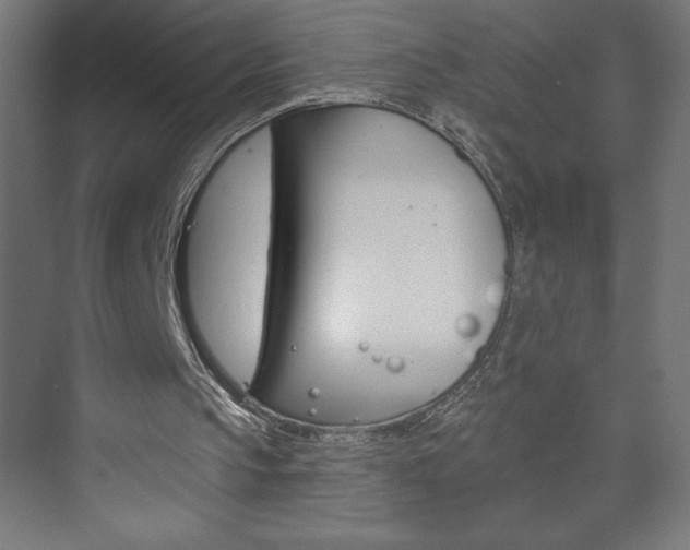 X0000073950145200608210951