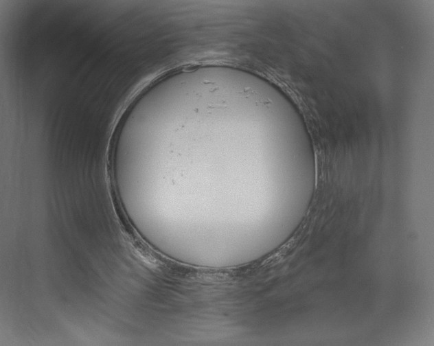 X0000073950147200608210951