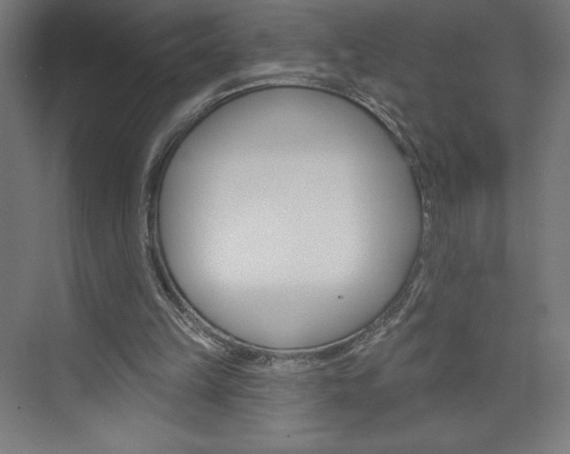 X0000073950149200608210951