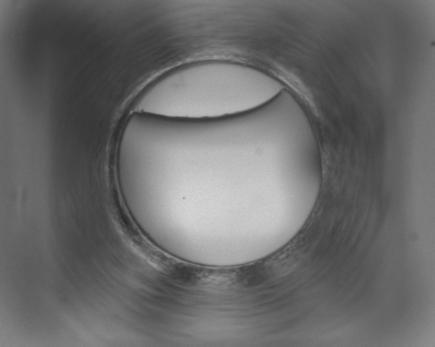 X0000073950155200608210951