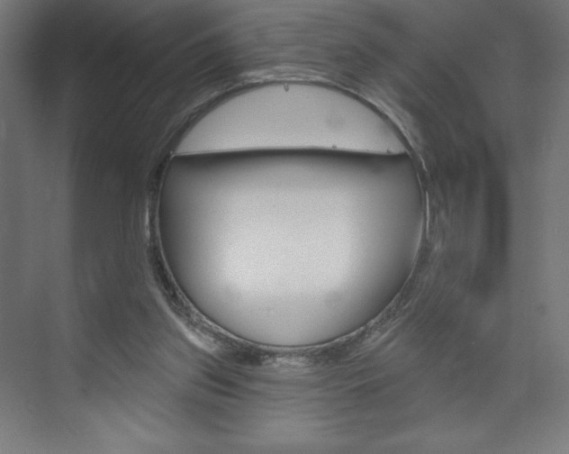 X0000073950157200608210951