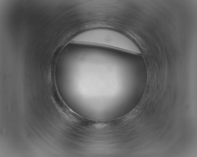 X0000073950158200608210951