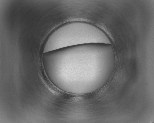 X0000073950159200608210951