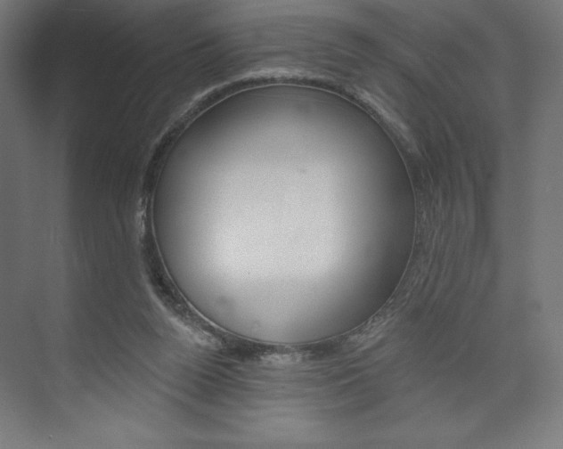 X0000073950160200608210951