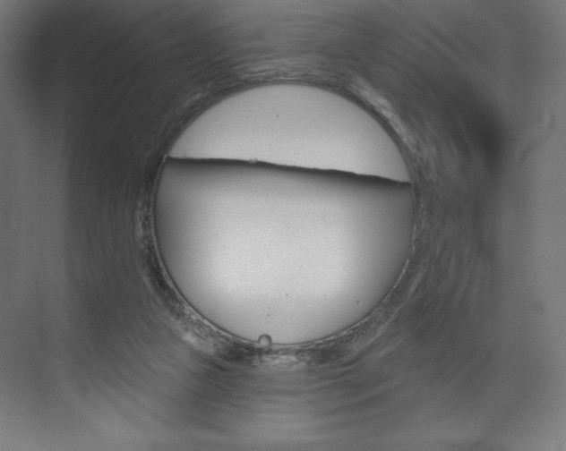 X0000073950161200608210951