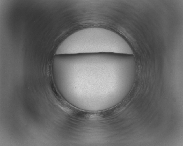 X0000073950165200608210951