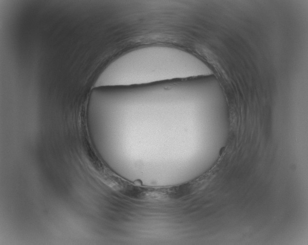 X0000073950167200608210951