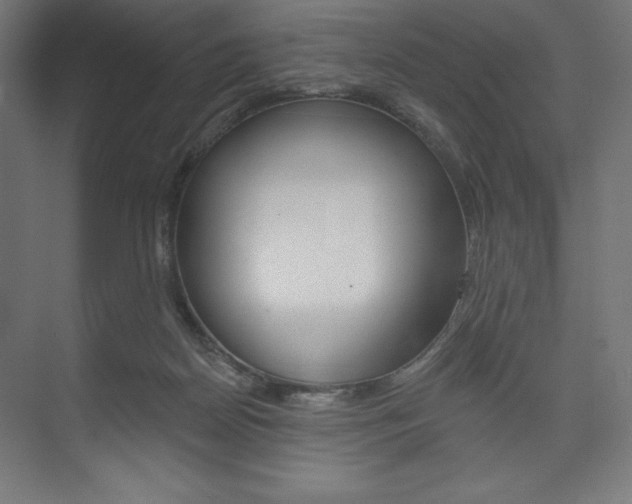 X0000073950170200608210951