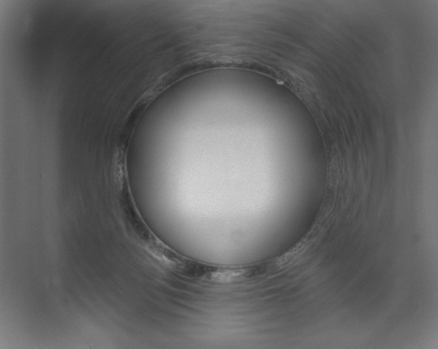 X0000073950172200608210952