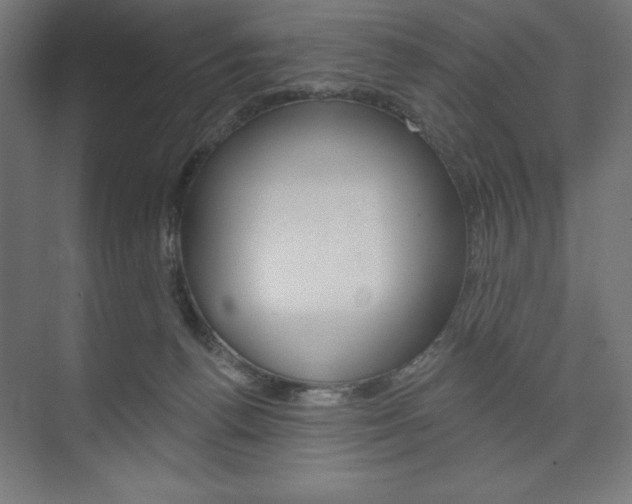 X0000073950176200608210952