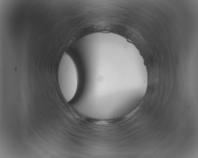X0000073950183200608210952