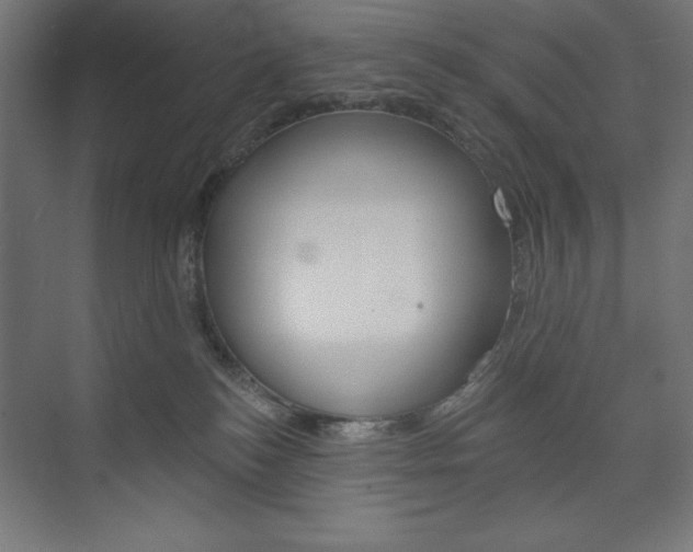 X0000073950184200608210952