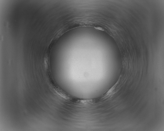 X0000073950188200608210952