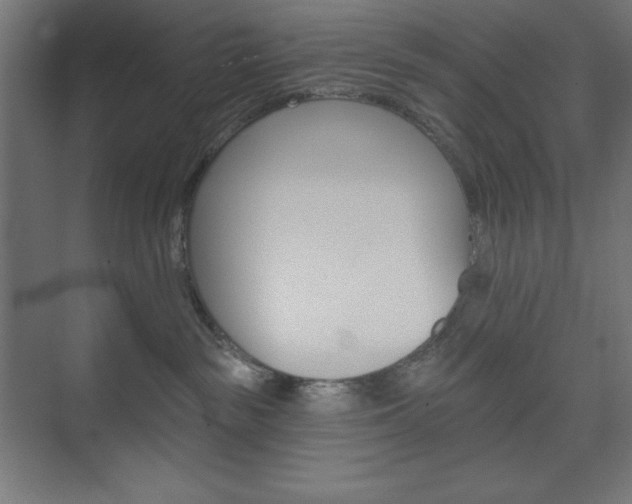 X0000073950189200608210952