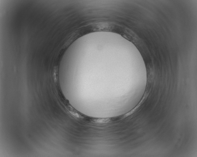 X0000073950191200608210952