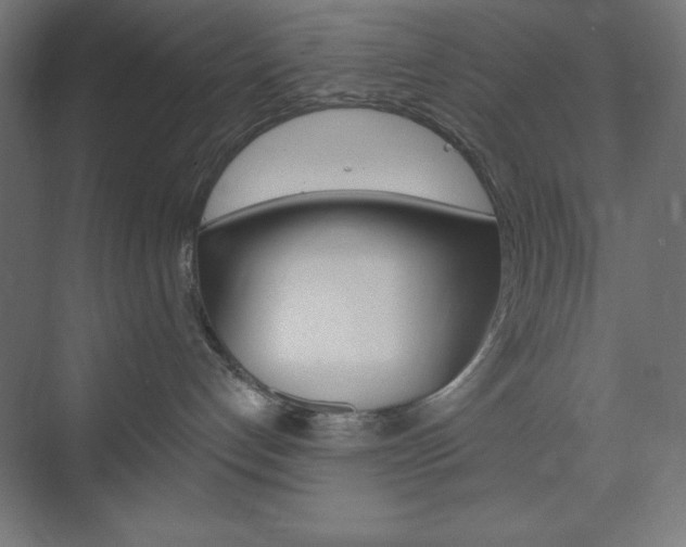 X0000073950192200608210952