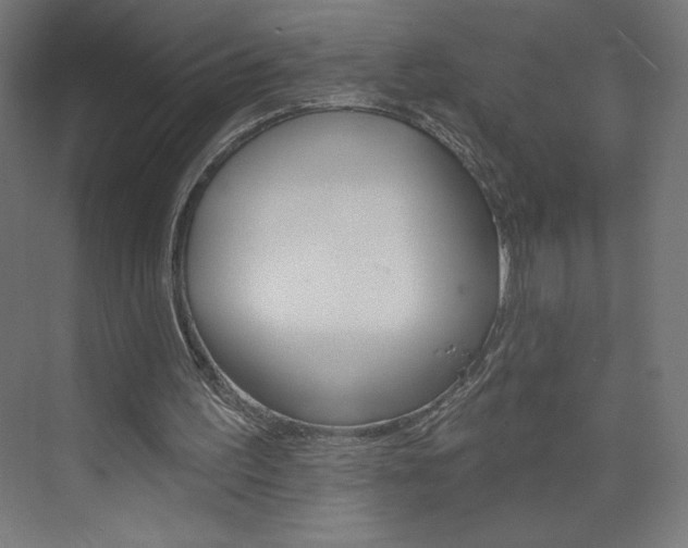 X0000073950195200608210951