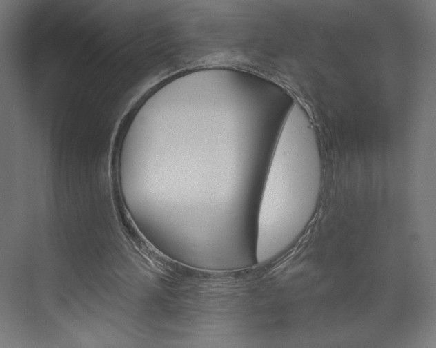 X0000073950196200608210951