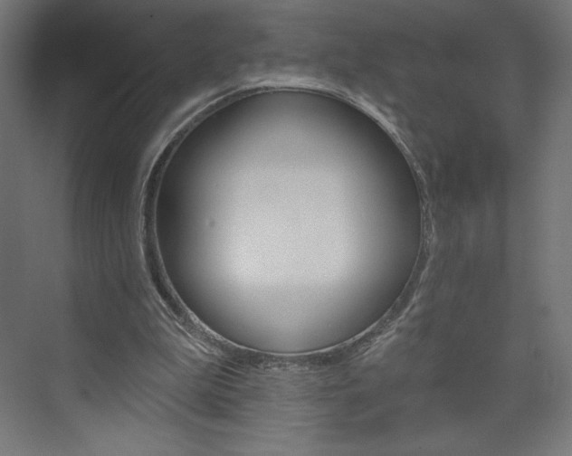 X0000073950199200608210951