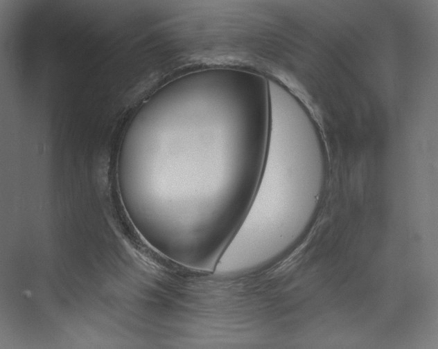X0000073950201200608210951