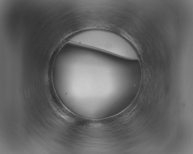 X0000073950203200608210951