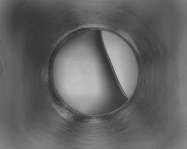 X0000073950204200608210951