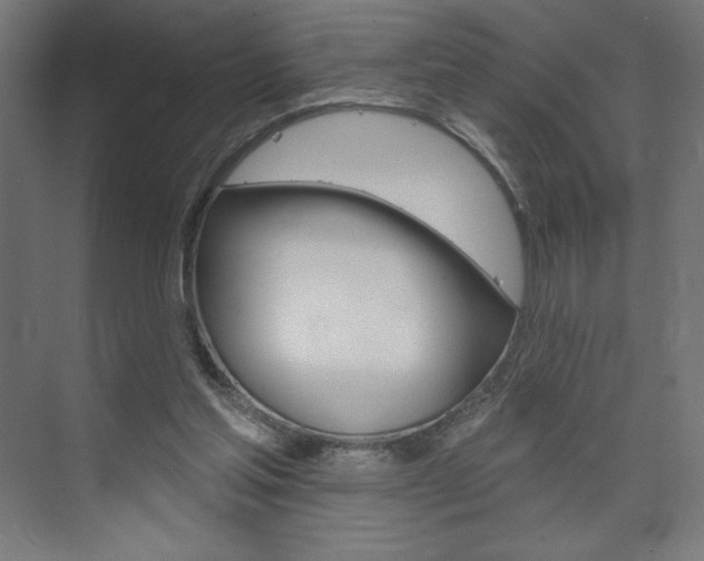 X0000073950205200608210951