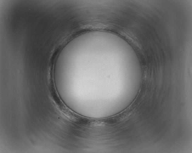 X0000073950206200608210951