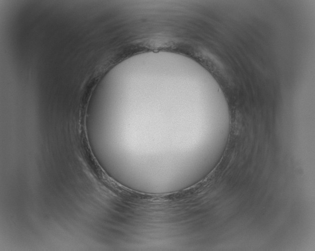 X0000073950210200608210951
