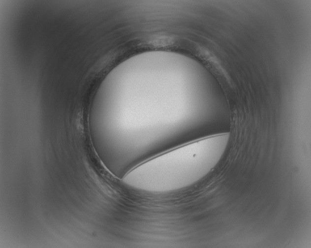 X0000073950212200608210951