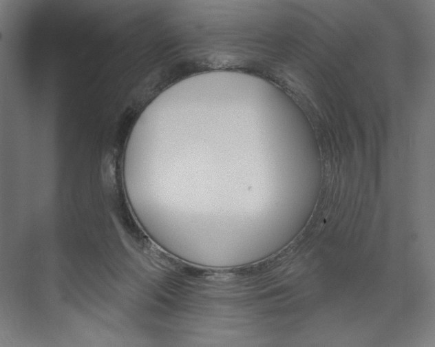 X0000073950214200608210951