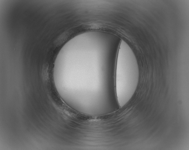 X0000073950216200608210951