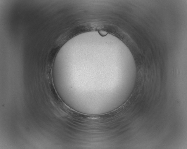 X0000073950218200608210951