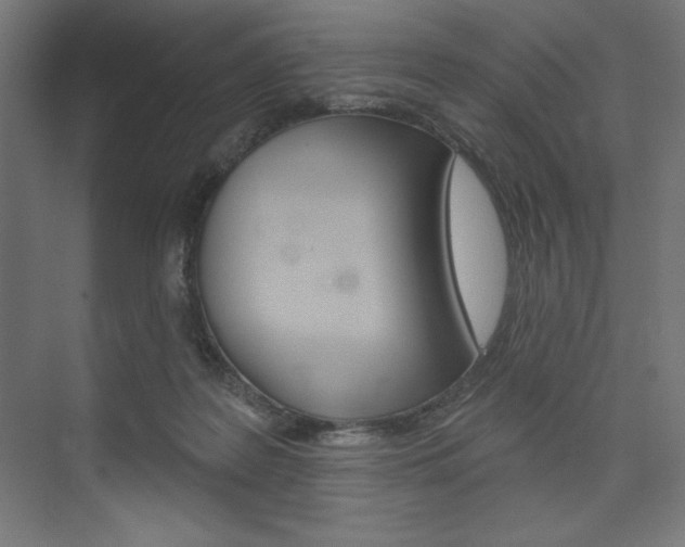 X0000073950219200608210951
