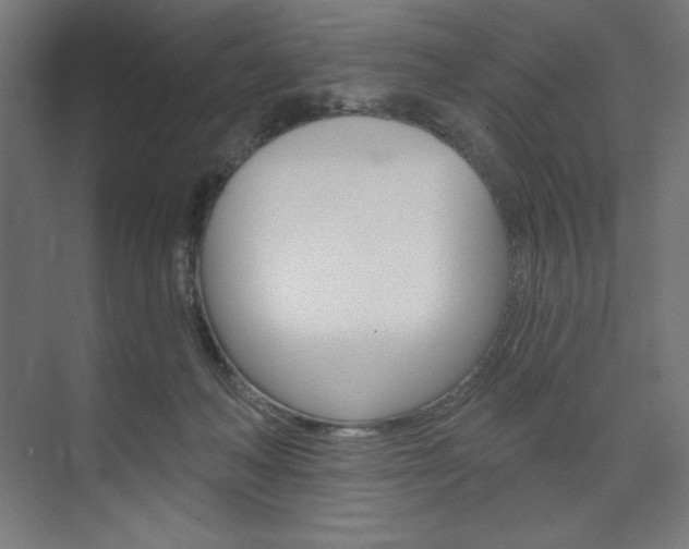 X0000073950222200608210951